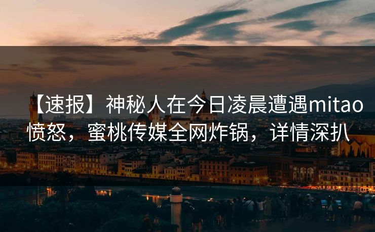【速报】神秘人在今日凌晨遭遇mitao愤怒，蜜桃传媒全网炸锅，详情深扒