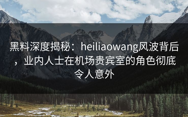 黑料深度揭秘：heiliaowang风波背后，业内人士在机场贵宾室的角色彻底令人意外