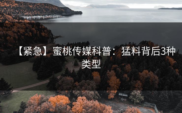【紧急】蜜桃传媒科普：猛料背后3种类型