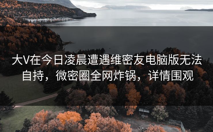 大V在今日凌晨遭遇维密友电脑版无法自持,微密圈全网炸锅,详情围观 大V在今日凌晨遭遇维密友电脑版无法自持,微密圈全网炸锅,详情围观