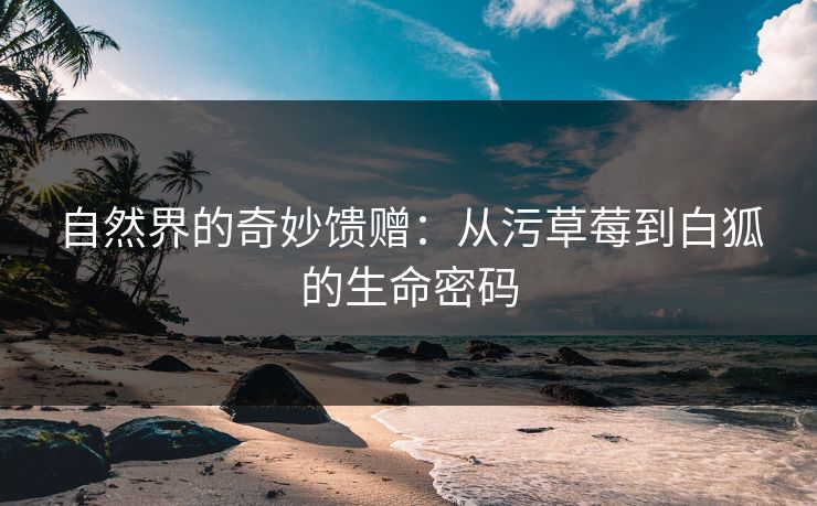 自然界的奇妙馈赠:从污草莓到白狐的生命密码 自然界的奇妙馈赠:从污草莓到白狐的生命密码